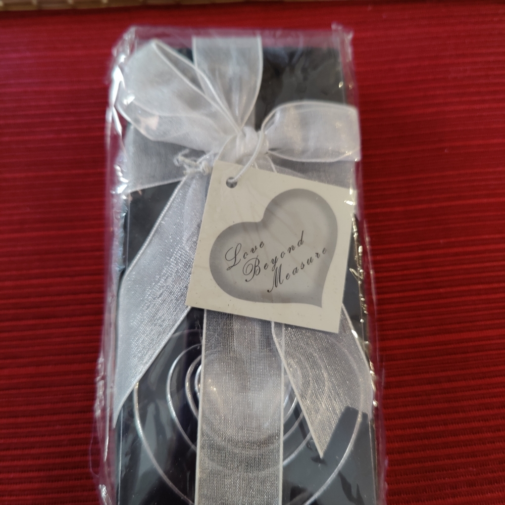 Kate Aspen Love Beyond Measure Spoons, Heart Shaped Measuring Spoons Stainless